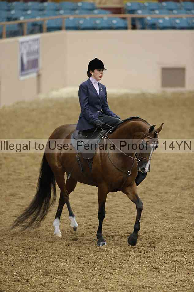 Proof 14yn_08773