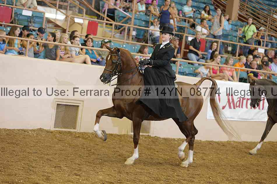 Proof 14yn_08774
