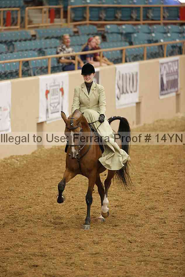 Proof 14yn_08777