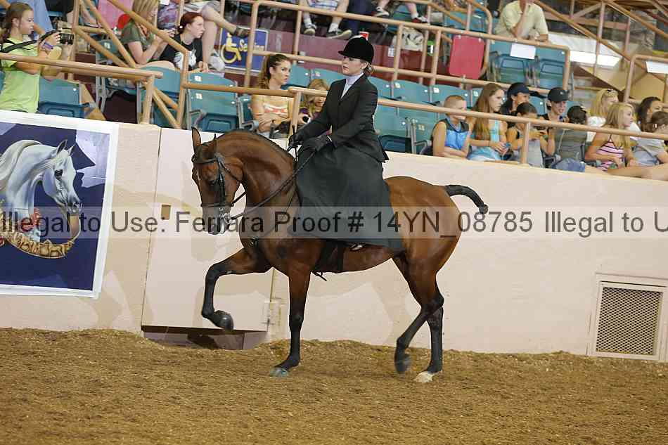 Proof 14yn_08785