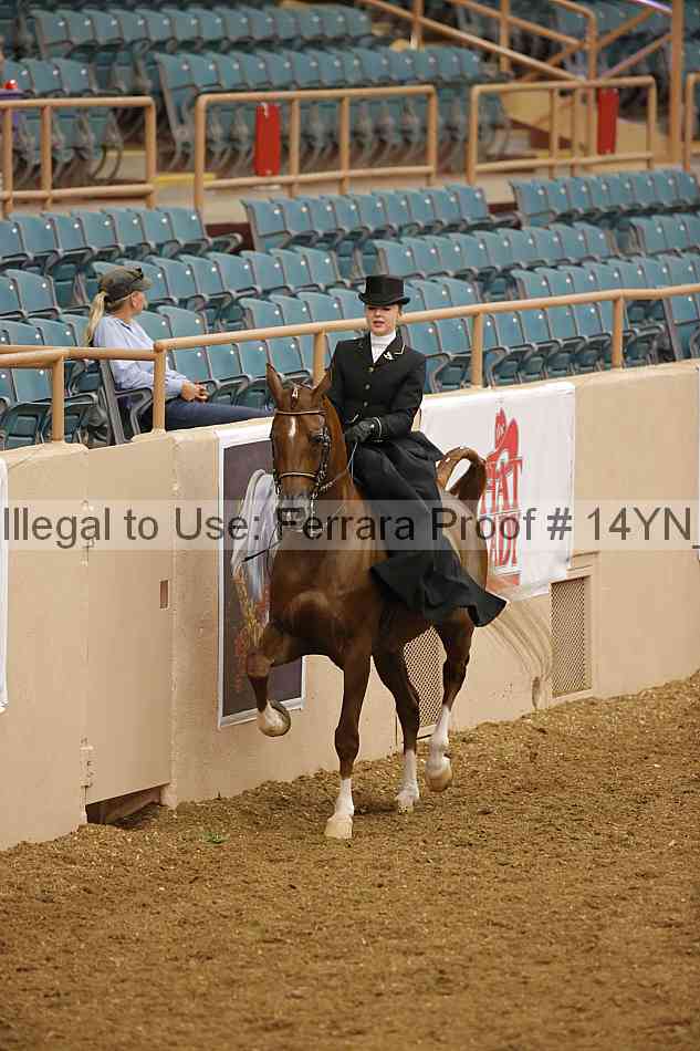 Proof 14yn_08786