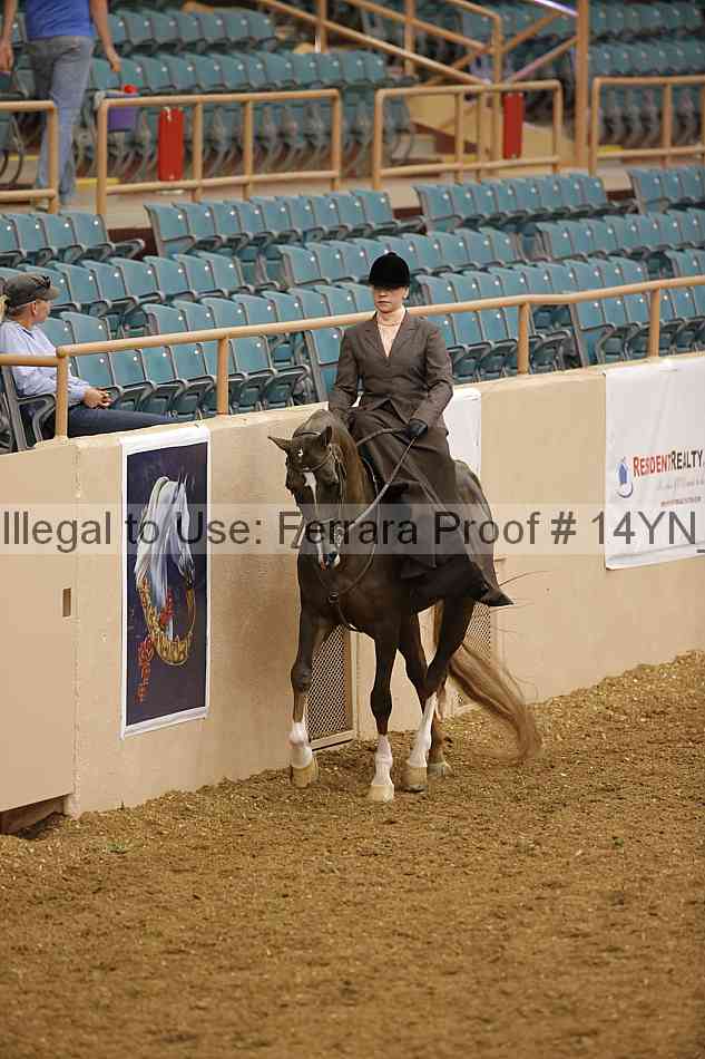 Proof 14yn_08787