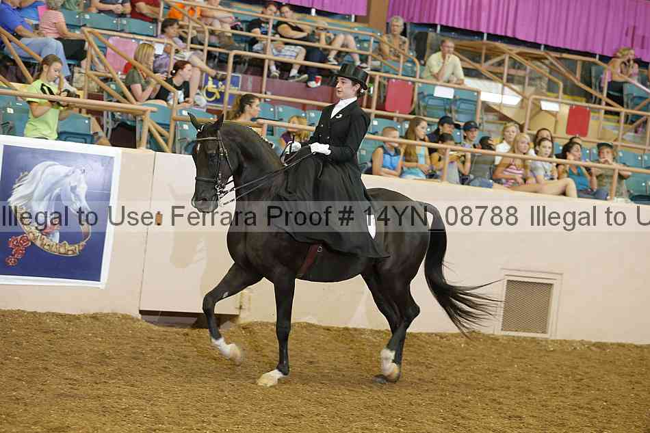 Proof 14yn_08788