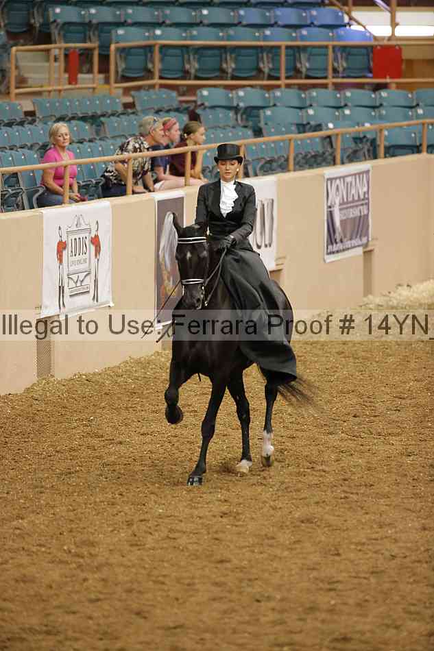 Proof 14yn_08789