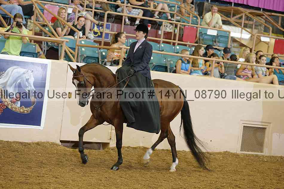 Proof 14yn_08790