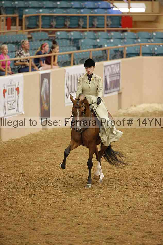 Proof 14yn_08792