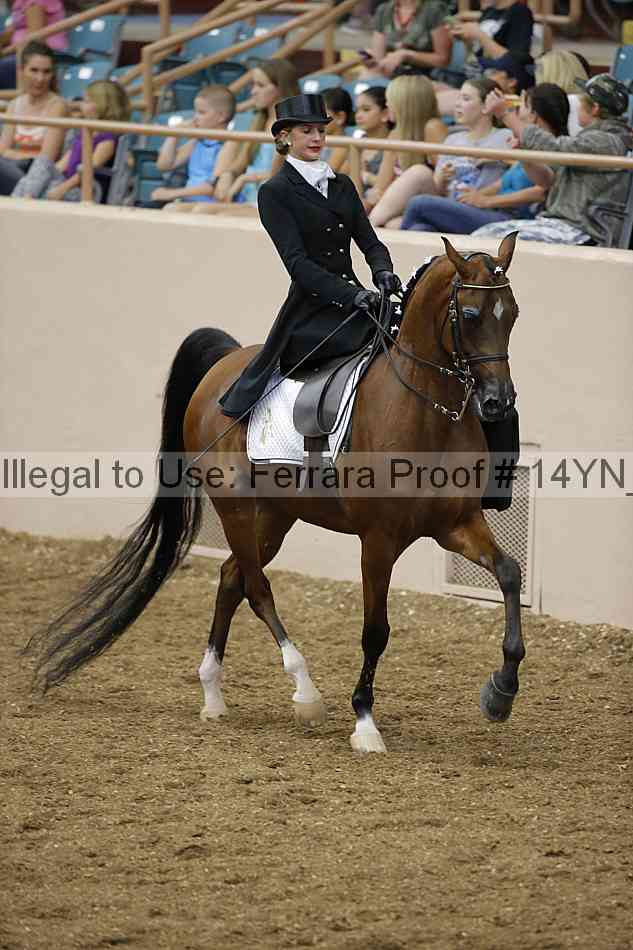 Proof 14yn_08794