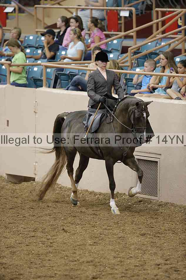 Proof 14yn_08795