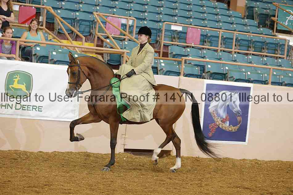 Proof 14yn_08801