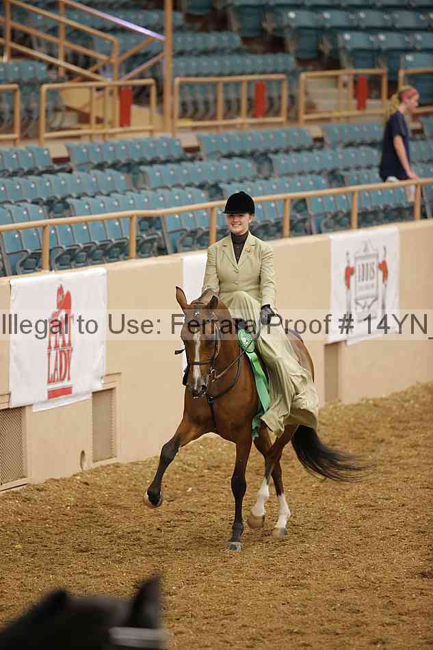 Proof 14yn_08802