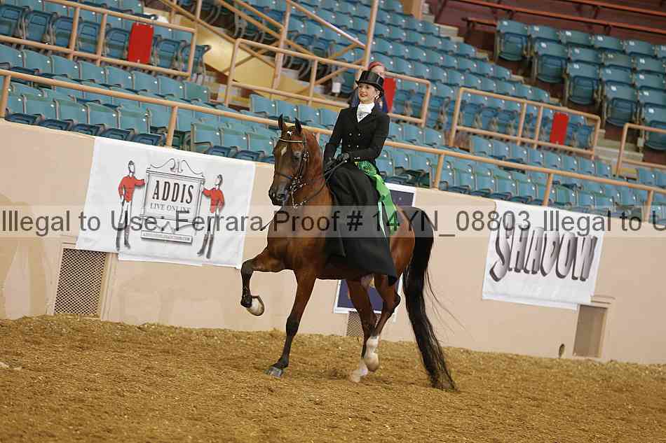 Proof 14yn_08803