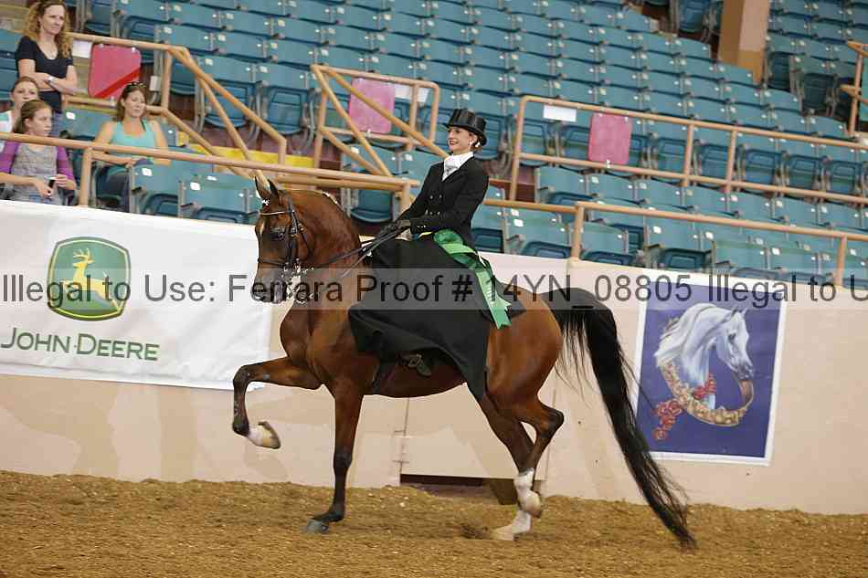 Proof 14yn_08805