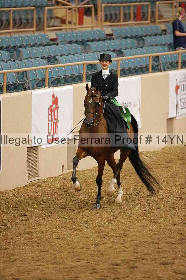 Proof 14yn_08806