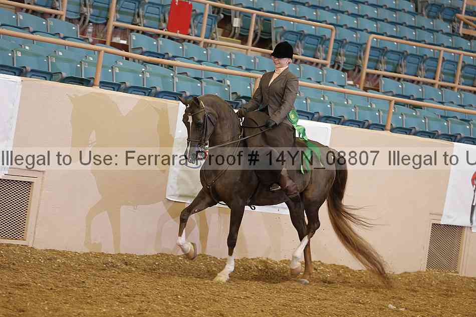 Proof 14yn_08807