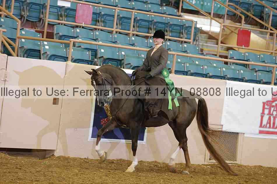 Proof 14yn_08808