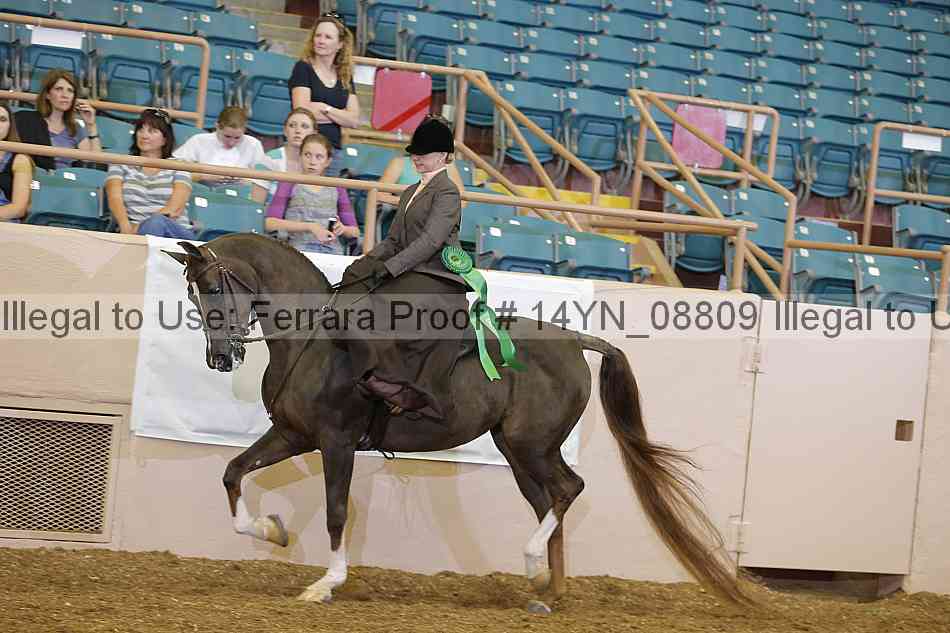 Proof 14yn_08809