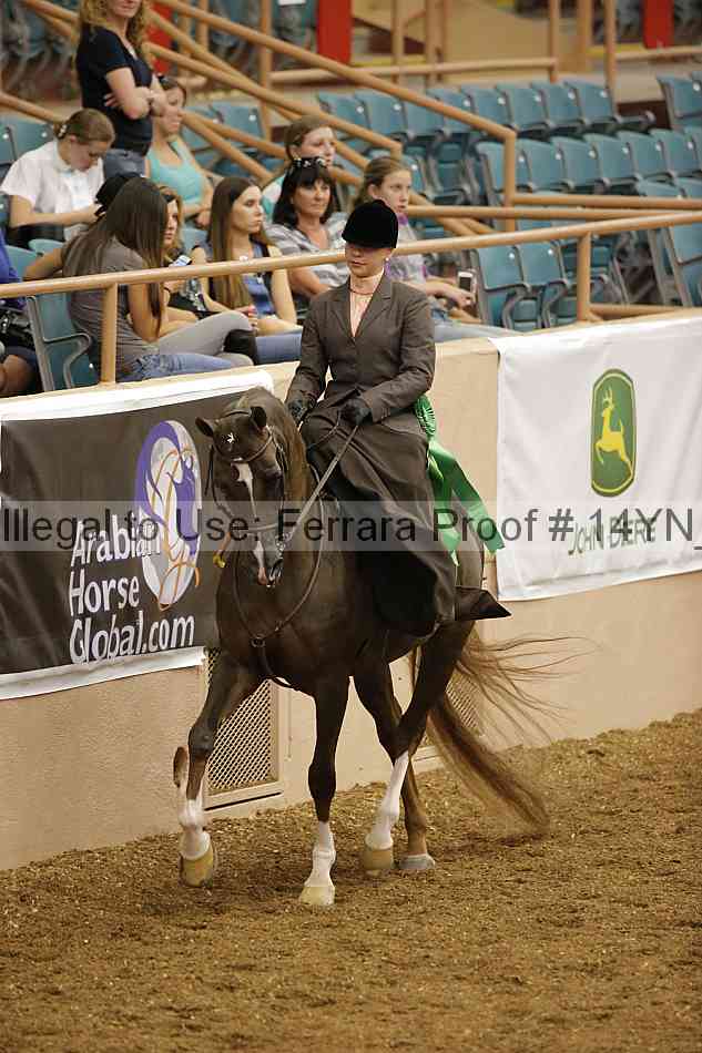 Proof 14yn_08810