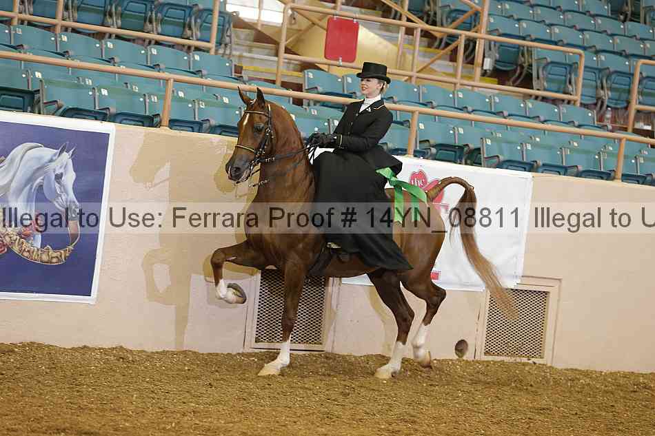 Proof 14yn_08811