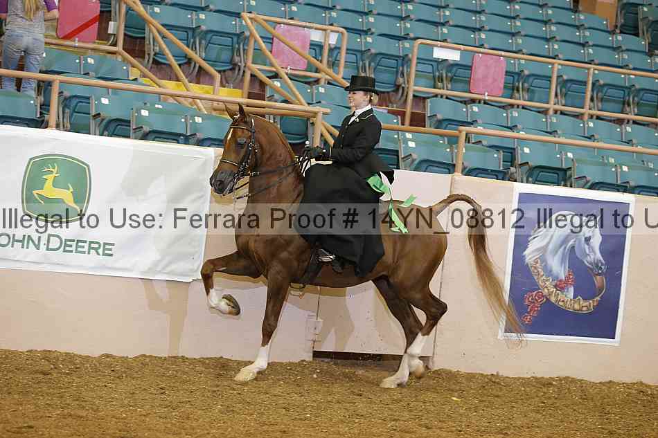 Proof 14yn_08812