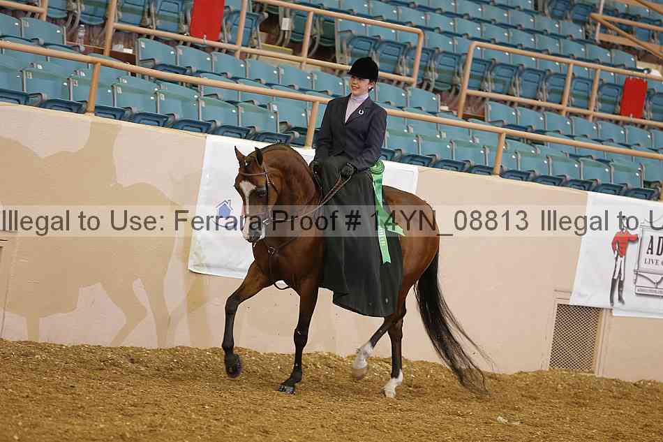 Proof 14yn_08813