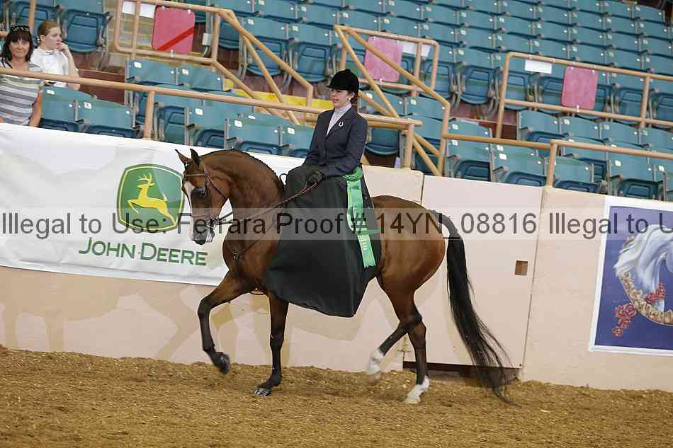 Proof 14yn_08816
