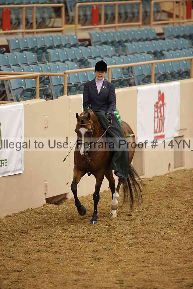 Proof 14yn_08817