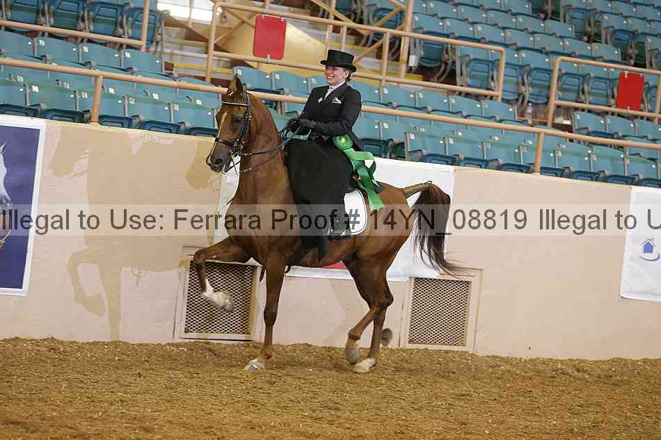 Proof 14yn_08819