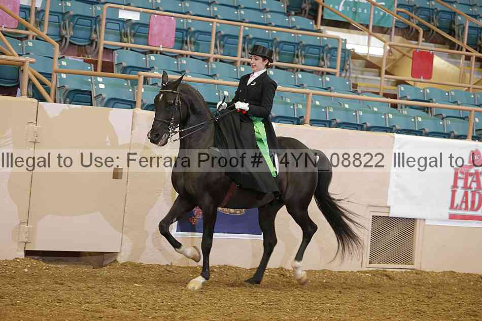 Proof 14yn_08822