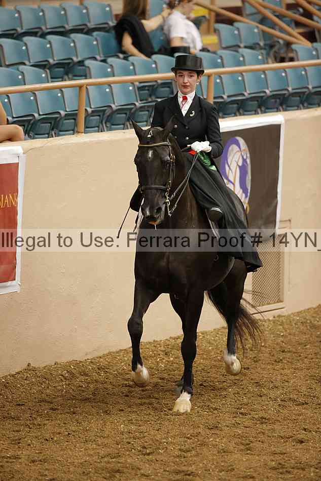 Proof 14yn_08824