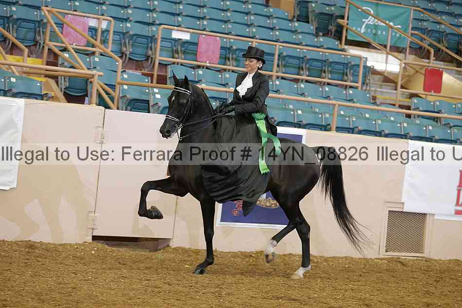 Proof 14yn_08826