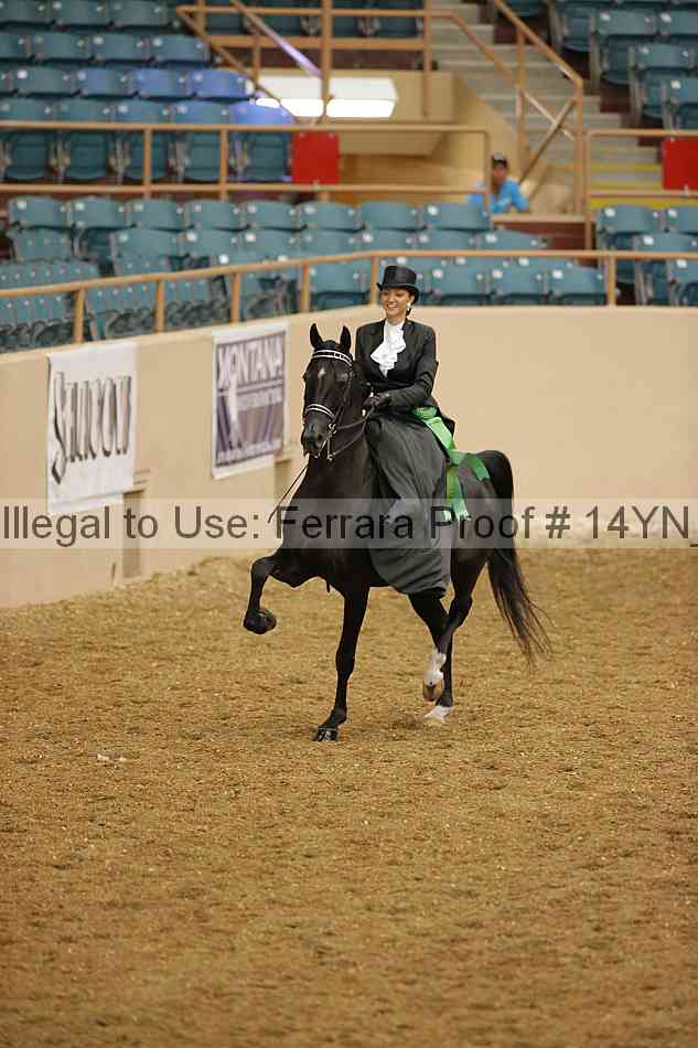 Proof 14yn_08828