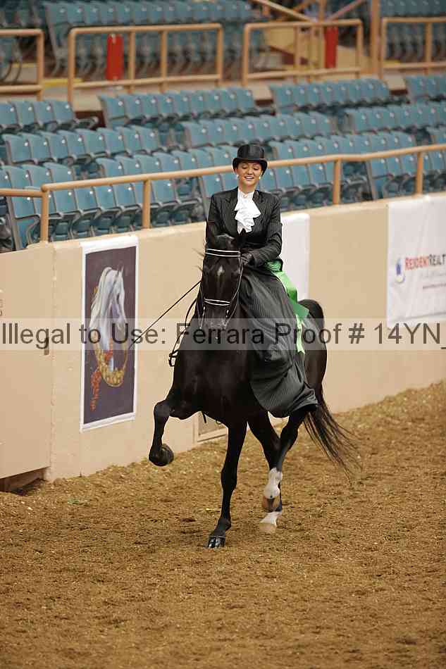 Proof 14yn_08829