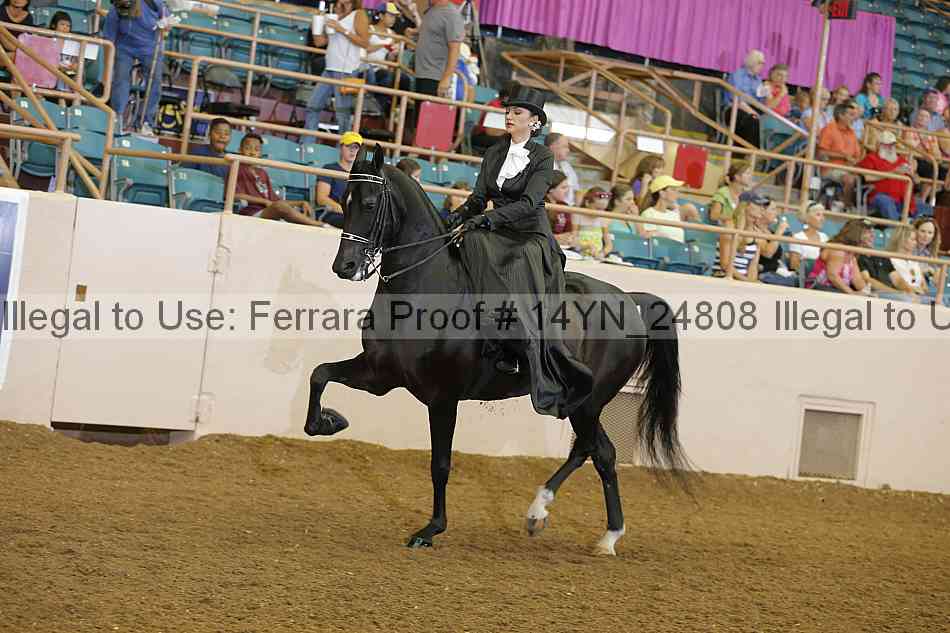 Proof 14yn_24808