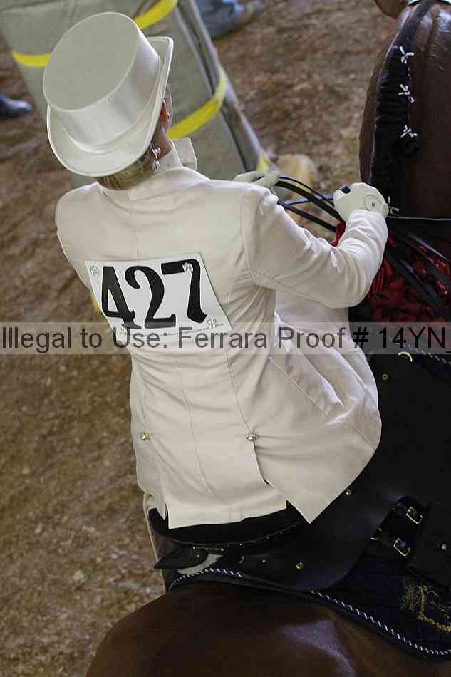 Proof 14yn_24955