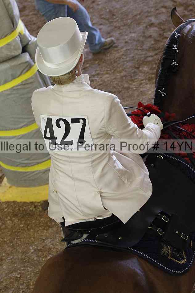 Proof 14yn_24956