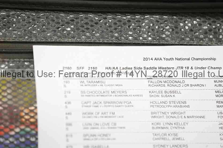Proof 14yn_28720