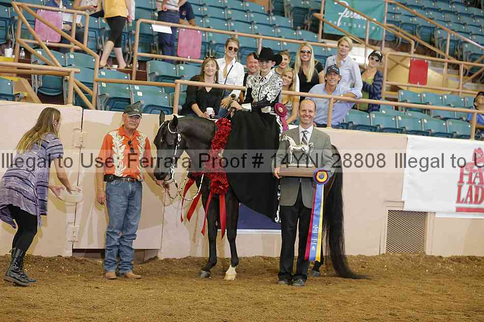 Proof 14yn_28808