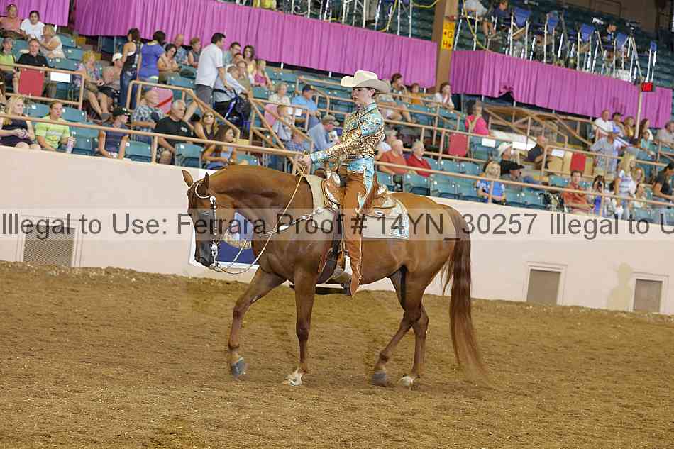 Proof 14yn_30257