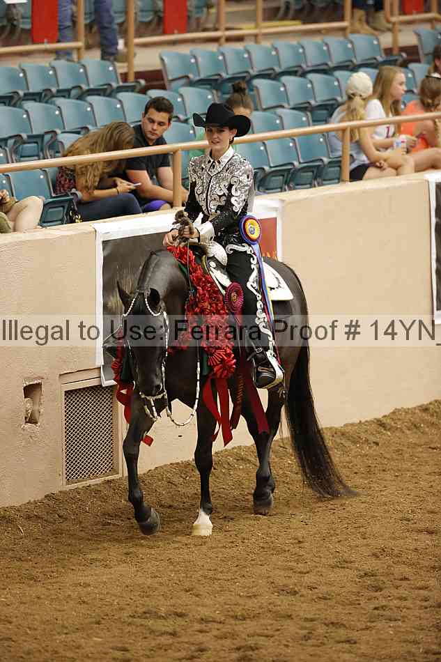 Proof 14yn_30405