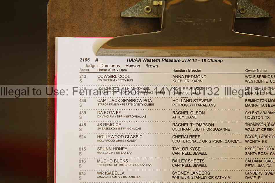 Proof 14yn_10132