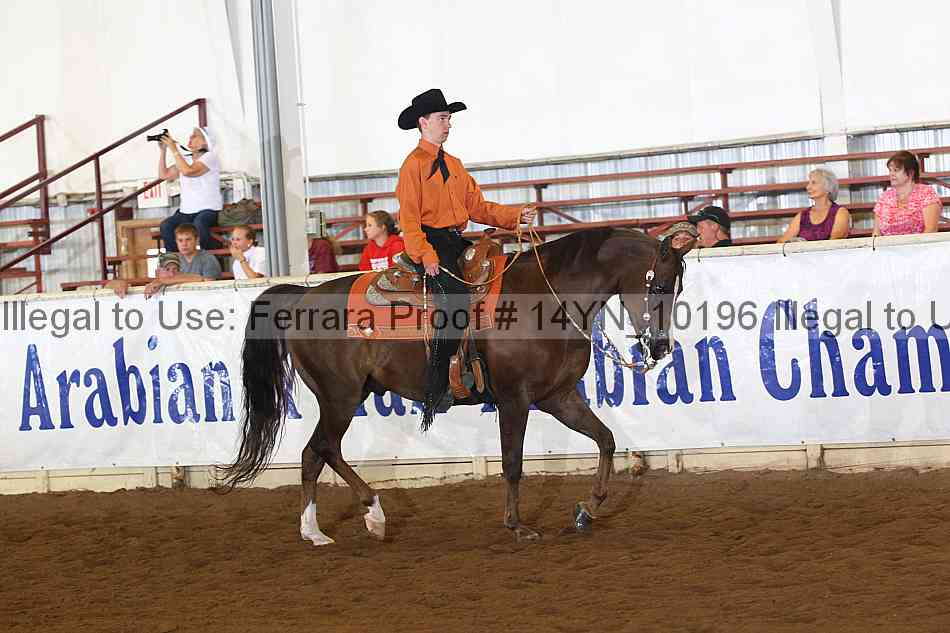 Proof 14yn_10196
