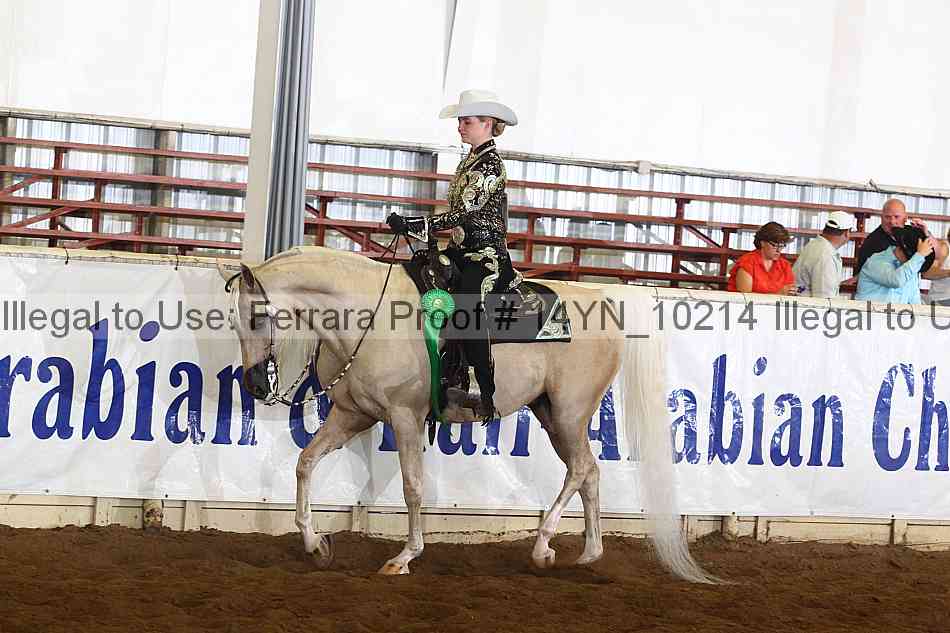 Proof 14yn_10214