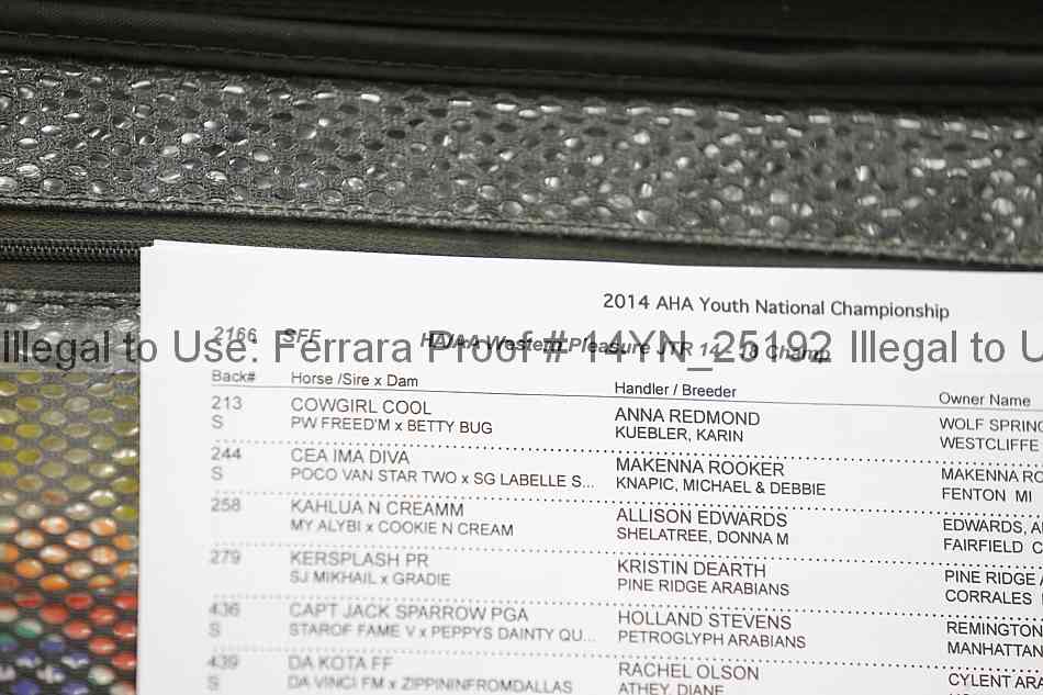 Proof 14yn_25192
