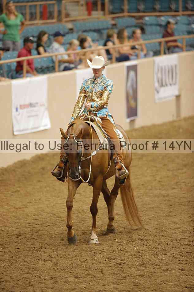 Proof 14yn_25245