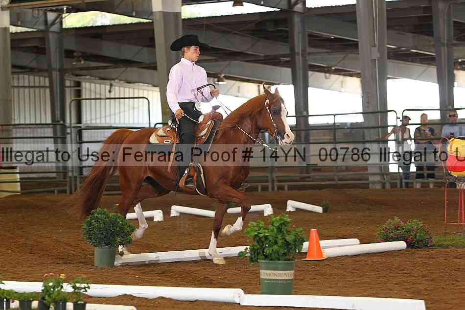 Proof 14yn_00786