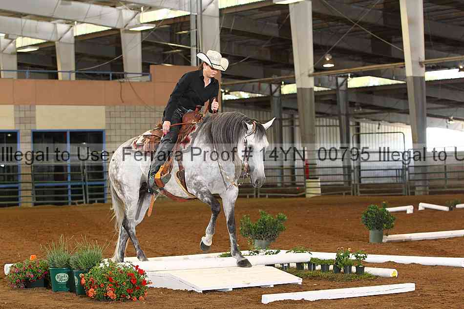 Proof 14yn_00795