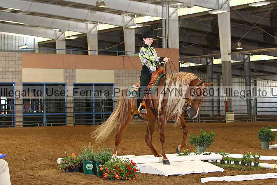 Proof 14yn_00801