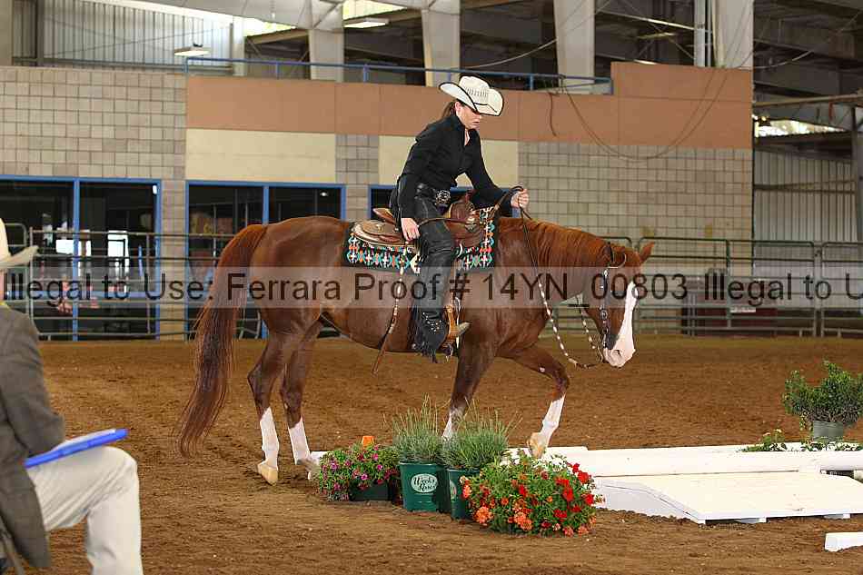 Proof 14yn_00803