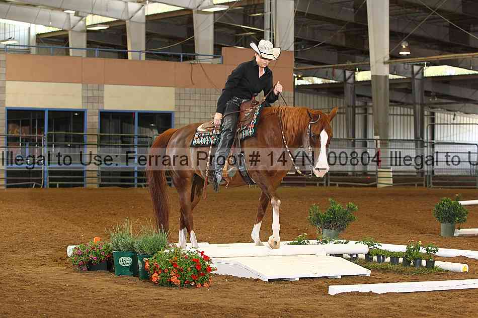 Proof 14yn_00804