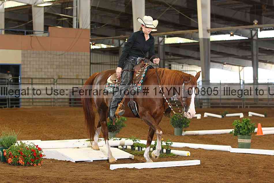 Proof 14yn_00805